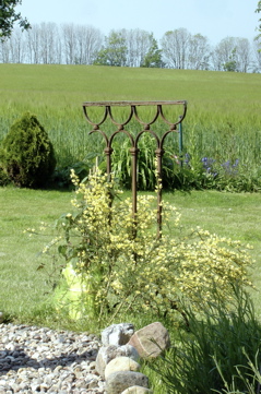DSC05869.JPG