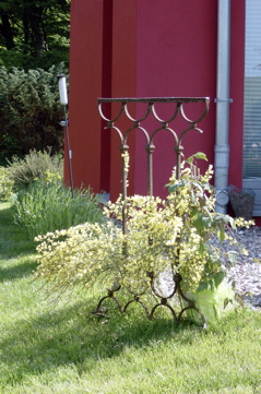 DSC05871.JPG