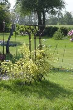 DSC05872.JPG