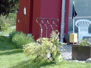 DSC05876.JPG