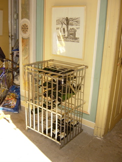 DSC04676